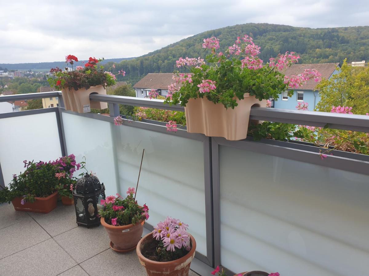 Ferienwohnung Berg View Bad Kissingen Apartment Mit 3 Schlafzimmern Eksteriør billede