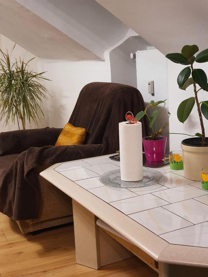 Ferienwohnung Berg View Bad Kissingen Apartment Mit 3 Schlafzimmern Eksteriør billede