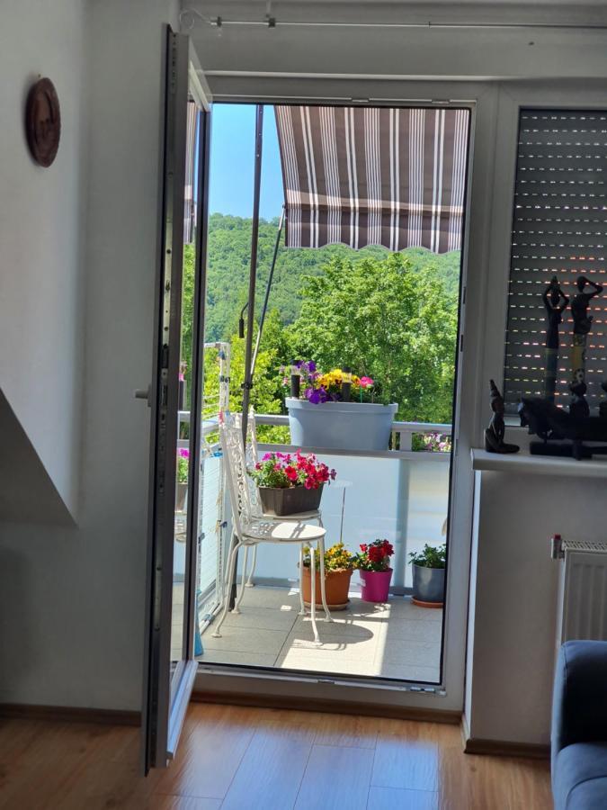 Ferienwohnung Berg View Bad Kissingen Apartment Mit 3 Schlafzimmern Eksteriør billede